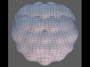 Base Hair for Boy V28 3D Model