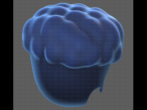 Base Hair for Boy V28 Model 3D