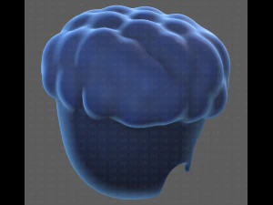 Base Hair for Boy V28 3D Model