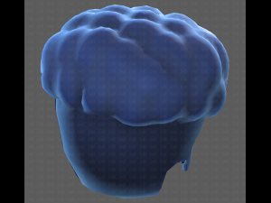 Base Hair for Boy V28 Model 3D