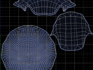 Base Hair for Boy V28 Model 3D