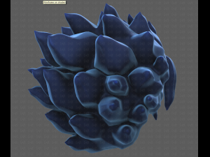 Base Hair for Boy V29 Modello 3D