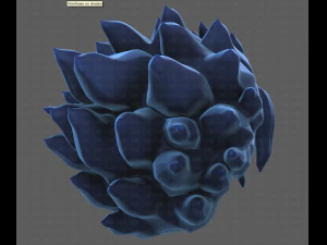 Base Hair for Boy V29 3D Model