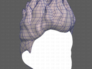 Base Hair for Boy V30 Modello 3D