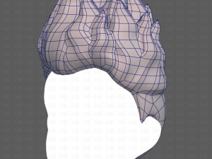 Base Hair for Boy V30 Modello 3D