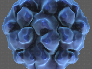 Base Hair for Boy V30 Modello 3D
