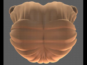 Base Hair for girl V31 3D Model