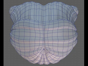 Base Hair for girl V31 3D Model