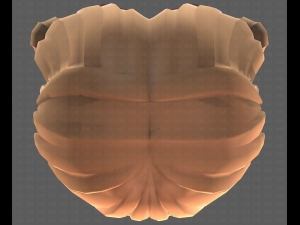 Base Hair for girl V31 Model 3D