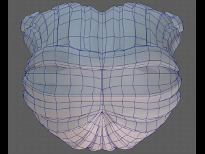 Base Hair for girl V31 3D Model