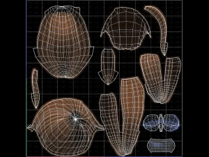 लड़की के लिए बेस हेयर V32 3D मॉडल