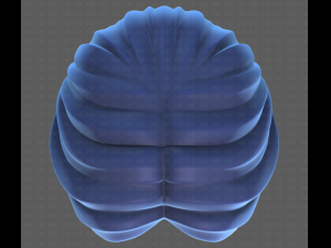 Base Hair for Boy V32 Modelo 3D