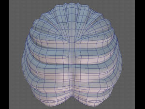 Base Hair for Boy V32 Modelo 3D
