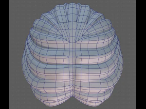 Base Hair for Boy V32 3D Model