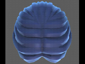 Base Hair for Boy V32 3D Model