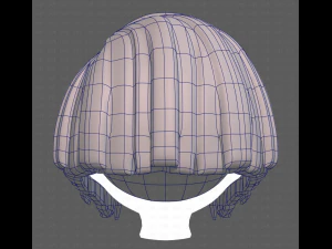 Base Hair for girl V33 3D Model