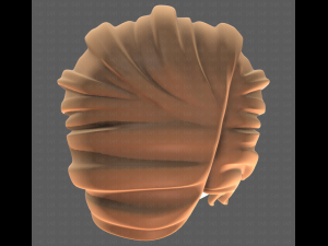 Base Hair for girl V33 3D Model