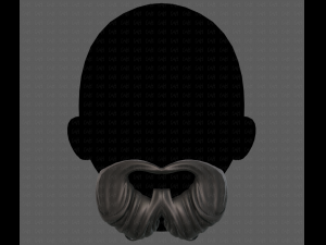 Beard V27 3D Model