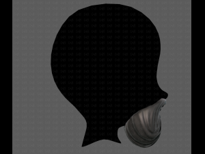 Beard V27 3D Model