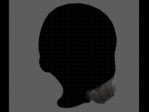 Beard V27 3D Model
