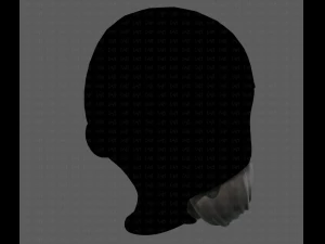 Beard V27 3D Model