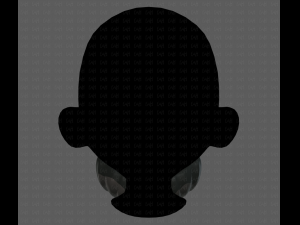 Beard V27 3D Model