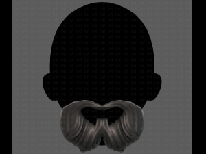 Beard V27 3D Model
