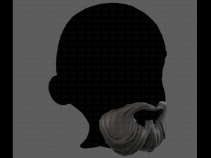 Beard V27 3D Model