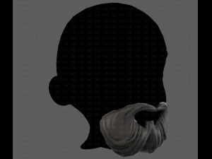 Beard V27 3D Model