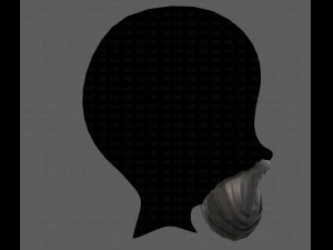 Beard V27 3D Model