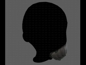 Beard V27 3D Model