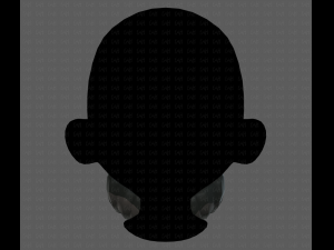 Beard V27 3D Model