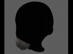 Beard V27 3D Model