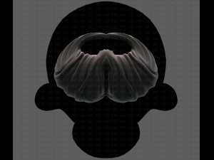 Beard V27 3D Model