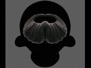 Beard V27 3D Model
