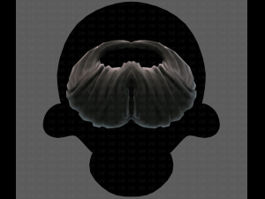 Beard V27 3D Model