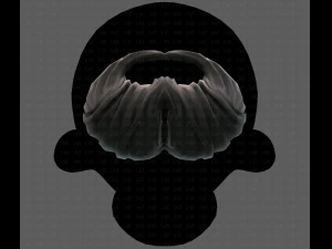 Beard V27 3D Model