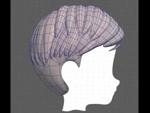 Base Hair for Boy V33 3D Model