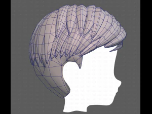 Base Hair for Boy V33 3D Model