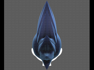 Base Hair for Boy V34 3D Model