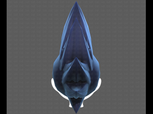 Base Hair for Boy V34 3D Model