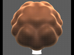 Base Hair for girl V35 Modelo 3D