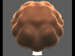 Base Hair for girl V35 Modelo 3D