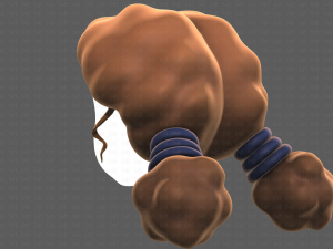 Base Hair for girl V36 Modèle 3D