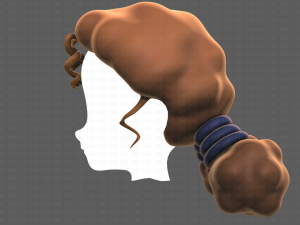 Base Hair for girl V36 Modèle 3D