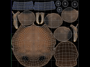 Base Hair for girl V36 Modèle 3D
