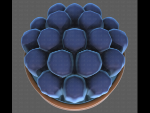 Base Hair for Boy V35 Model 3D