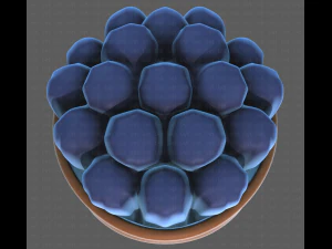 Base Hair for Boy V35 3D Model