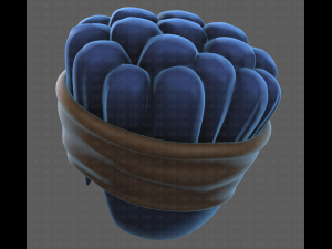 Base Hair for Boy V35 Model 3D
