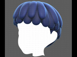 Base Hair for Boy V36 3D Model